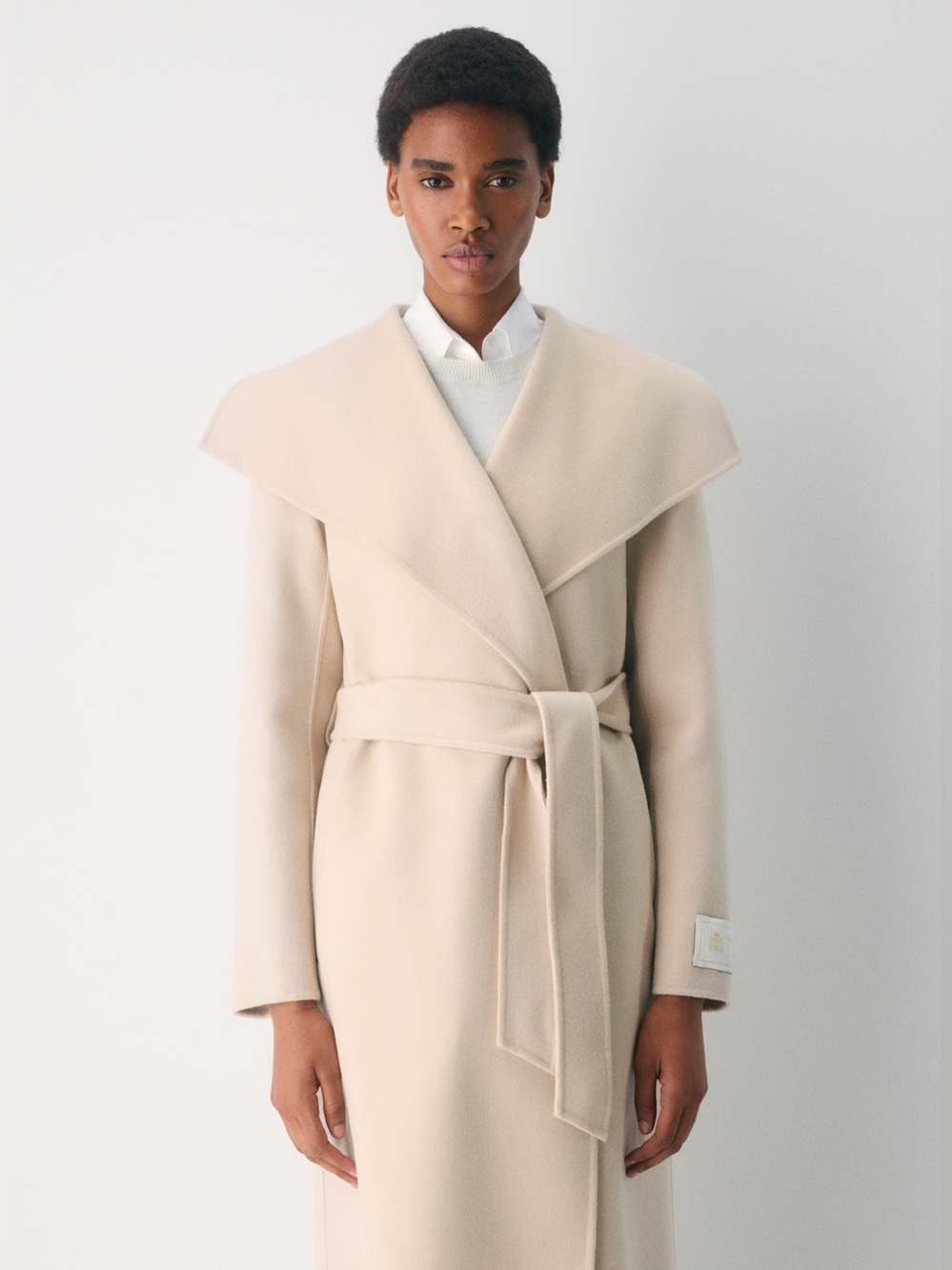 Aritzia Babaton Portfolio Double Face Coat - Luxe Wool Cashmere